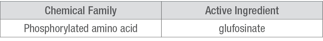 Glutamine Synthetase Inhibitors 